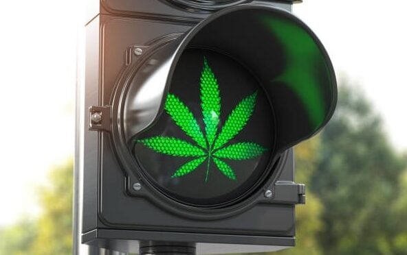 A green traffic signal displaying a marijuana leaf icon